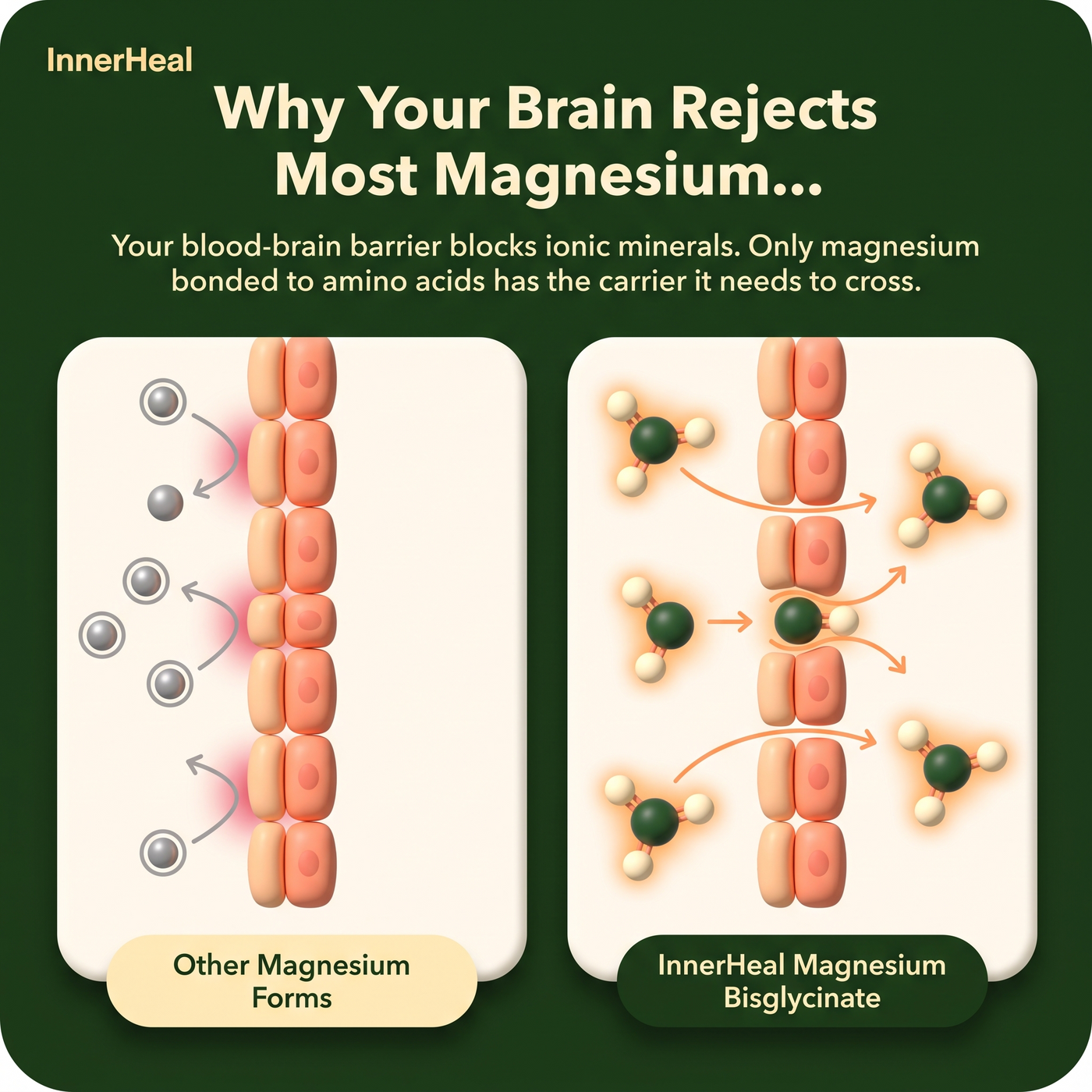 Magnesium bisglycinate gummies Inner Heal